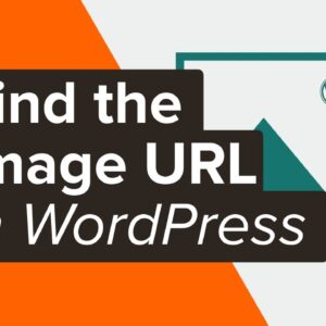 How to Get the URL of Images You Upload in WordPress