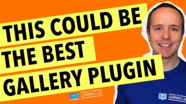 Modula Wordpress Image Gallery Plugin - Complete Walkthrough.