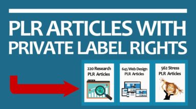 PLR Articles With Private Label Rights (Over 140,000 PLR Articles In All Niches)