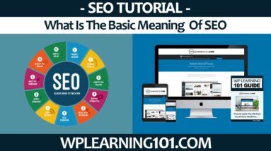 What Is The Basic Meaning Of SEO (Step By Step Tutorial)