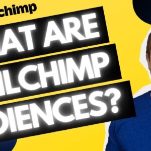 MailChimp Audience And How To Use It Properly