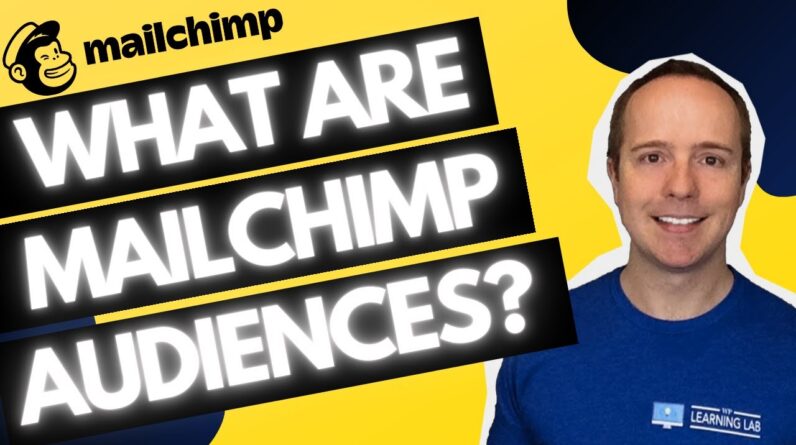 MailChimp Audience And How To Use It Properly