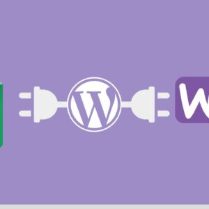 How to Connect Google Sheets with WooCommerce in 5 minutes