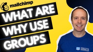 MailChimp Audience Groups And How To Use Them Like A Pro!