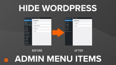 How to Hide Unnecessary Menu Items From WordPress Admin