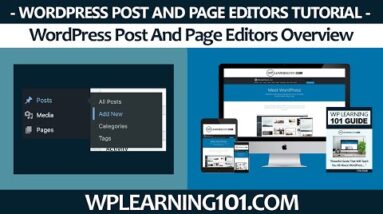WordPress Post And Page Editors Overview In WordPress Website (Step By Step Tutorial)