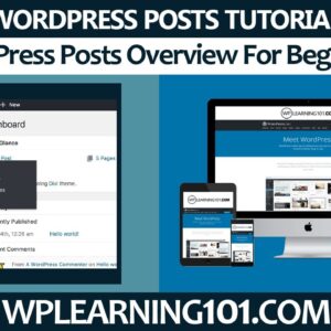 WordPress Posts Overview For WordPress Beginners (Step By Step Tutorial)