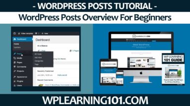 WordPress Posts Overview For WordPress Beginners (Step By Step Tutorial)