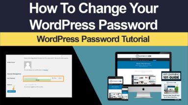 How To Change Your WordPress Password (Fast And Easy)