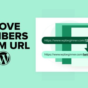 How to Remove Numbers from WordPress URLs Video
