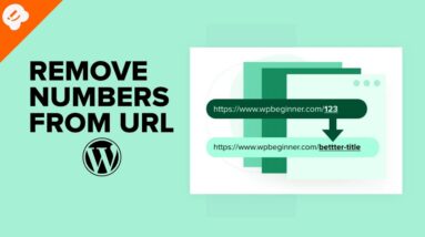 How to Remove Numbers from WordPress URLs Video