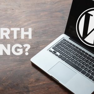 Find Out if A WordPress Plugin is Worth It