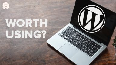 Find Out if A WordPress Plugin is Worth It