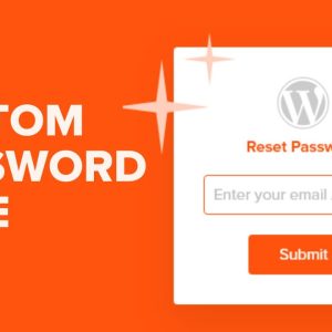 How To Customize The WordPress Reset Password Page