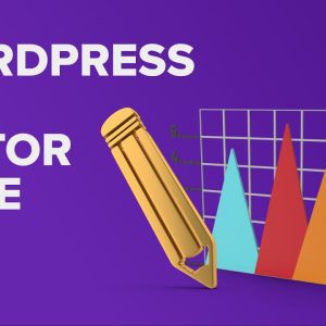 How to Add an SEO Editor Role in WordPress