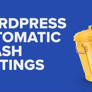 How to Limit or Disable Automatic Empty Trash in WordPress Video