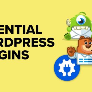 Using WordPress? You NEED These Essential Plugins!