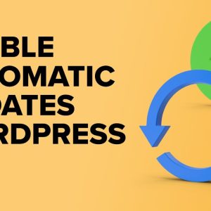 How to Enable Automatic Updates in WordPress for Major Versions Video v1