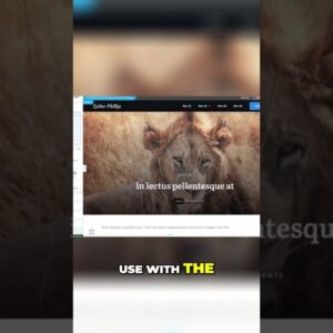 Build Your Perfect WordPress Theme with Thrive Theme Builder