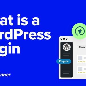 What is a WordPress Plugin?