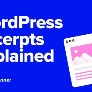 What are Excerpts On WordPress & How To Use Them