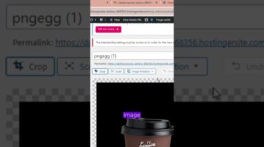 using alt tags in WordPress #shorts #wordpress