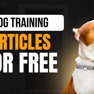 Dog Training PLR Articles For Free – Publish in Seconds!