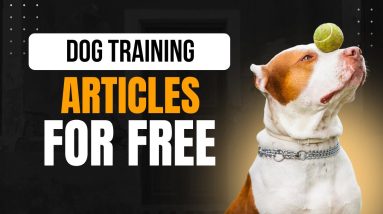 Dog Training PLR Articles For Free – Publish in Seconds!